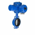 Затвор дисковый поворотный DN.ru WBV3432V-2W-Fb-H Ду300 Ру16, корпус - углеродистая сталь WCB, диск - нержавеющая сталь 316L, уплотнение - VITON, с электроприводом QT-N-060M-O2-220VAC-У1
