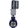 Затвор дисковый поворотный с тройным эксцентриситетом DN.ru WBV3EX-3432M-1W-F-ISO Ду50 Ру25 фланцевый, корпус - углеродистая сталь WCB, уплотнение - METAL, с электроприводом четвертьоборотным DN.ru QTSA-N-007EM-O0-220VAC с пружинным возвратом