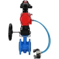 Затвор дисковый поворотный DN.ru WBV1313E-2W-F-H Ду50 Ру16 фланцевый, корпус - чугун GGG40, диск - чугун GGG40, EPDM, с пневмоприводом DN.ru PA-DA-105, пневмораспределителем DN.ru 4V320-10 220В, БКВ DN.ru APL-210N и ручным дублером DN.ru MON1-250-T26-ISO
