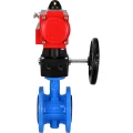 Затвор дисковый поворотный DN.ru WBV1313E-2W-F-H Ду100 Ру16 фланцевый, корпус - чугун GGG40, диск - чугун GGG40, уплотнение - EPDM, с пневмоприводом DN.ru PA-DA-105 и ручным дублером DN.ru MON1-250-T26-ISO