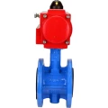 Затвор дисковый поворотный DN.ru WBV1313E-2W-F-H Ду100 Ру16 фланцевый, корпус - чугун GGG40, диск - чугун GGG40, уплотнение - EPDM, с пневмоприводом DN.ru PA-DA-105 двойного действия