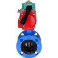 Затвор дисковый поворотный DN.ru WBV1331E-2W-F-H Ду100 Ру16 корпус - чугун GGG40, диск - нержавеющая сталь 304, уплотнение - EPDM, с пневмоприводом PA-DA-105 и магнитным переключателем ALS200D Затвор дисковый поворотный DN.ru WBV1331E-2W-F-H Ду100 Ру16 корпус - чугун GGG40, диск - нержавеющая сталь 304, уплотнение - EPDM, с пневмоприводом PA-DA-105 и магнитным переключателем ALS200D