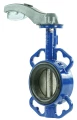 dendor 017w