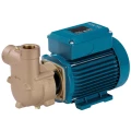 Насос моноблочный, самовсасывающий Calpeda B-CA 80/A поверхностный, корпус - бронза, мощность - 0.45кВт, напор - 36м, производительность - 32л/мин, 380В