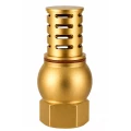 Клапан обратный DN.ru 1/2″ Ду15 Ру16 резьбовой, донный, корпус - латунь ЛС59-1, уплотнение - NBR, со щелевым фильтром (VCI0000-T)