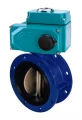 Затвор дисковый поворотный DN.ru WBV1331E-2W-F-H Ду50 Ру16 фланцевый, корпус - чугун GGG40, диск - нержавеющая сталь 304, уплотнение - EPDM, с 1/4-оборотным электроприводом QT-N-020EM-O1-24VDC-У1 24В HARK