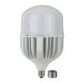 Лампа светодиодная ЭРА POWER 140 мм мощность - 120 Вт, цоколь - E27/E40, световой поток - 9600 лм, цветовая температура - 6500 К, холодный дневной, форма  - цилиндрическая