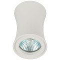 Светильник настенно-потолочный ЭРА OL19, цоколь GU10, под лампу MR16 до 50 Вт, цвет - белый