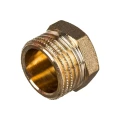 Пробка ДМЗ ДМЗ.003.20 3/4″ Ду20 Ру40, корпус - латунь, наружная резьба