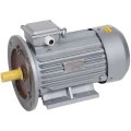 Электродвигатель IEK DRIVE АИР 100L2-IM2081-5.5-3000-У2 трехфазный, монтажное исполнение IM2081, мощность 5.5 кВт, частота вращения ~ 3000 об/мин, корпус - алюминий, климатическое исполнение У2