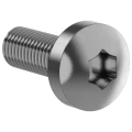 Винт IEK FORMAT TORX30 M6х16 самонарезающийся, длина - 16мм, диаметр - M6, форма головки - полукруглая (полупотайная), материал - сталь, покрытие - цинк, DIN7500C, упаковка - 20шт., FO-00D-VTORX-M6X16-020