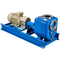 Насос дренажный Varisco JE 8-300 G10 ST40 BASE поверхностный, корпус - чугун, мощность - 22кВт, напор - 22м, производительность - 8000л/мин, 380/660В, на раме