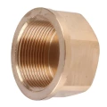 Заглушка Viega 3301 Ду1/2″ Ру25 ВР, корпус - бронза, присоединение - внутренняя резьба