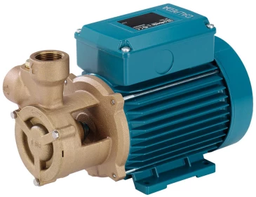 Насос вихревой Calpeda BT 61/A поверхностный, корпус - бронза, мощность - 330Вт, напор - 38м, производительность - 40л/мин, 380В