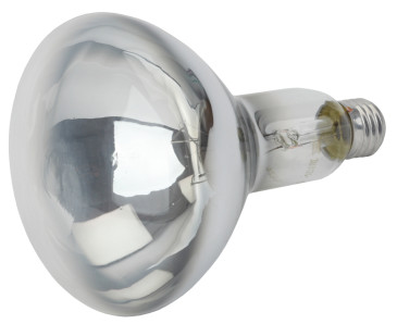 Лампа инфракрасная ЭРА ИКЗ 220-250 R127 E27 для обогрева животных и освещения, 127 мм, мощность - 250 Вт, цоколь - E27, цветовая температура - 2596 К , тип лампы - накаливания, тип стекла - зеркальный, форма - рефлекторная, цвет - серый