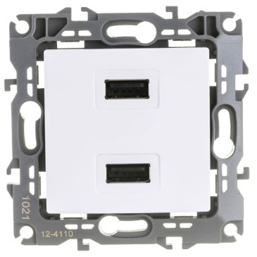 Розетка ЭРА 12-4110 2-местная, USB, 5В-2100мА, способ монтажа - скрытый, цвет - белый