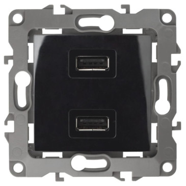 Розетка ЭРА 12-4110 2-местная, USB, 5В-2100мА, способ монтажа - скрытый, цвет - черный