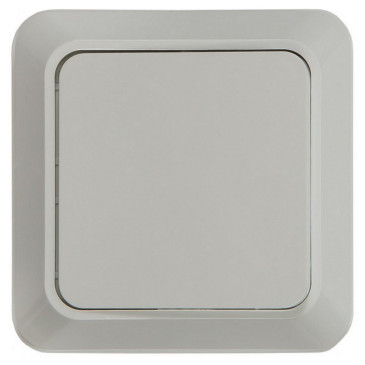 Выключатель одноклавишный IN HOME Bolleto открытой установки, номинальный ток - 10 А, степень защиты IP20, цвет - белый