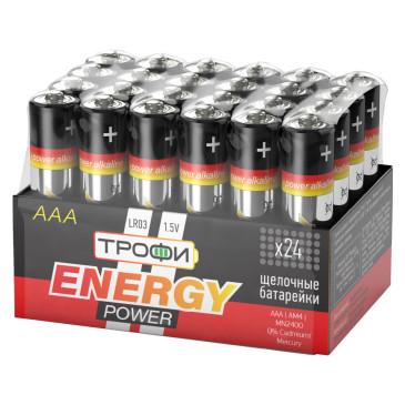 Батарейки ТРОФИ ENERGY POWER Alkaline количество - 24, размер - LR03, емкость - 1.2 Ач