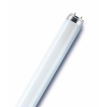 Лампа люминесцентная LEDVANCE L NATURA DE LUXE матовая, мощность - 18 Вт, цоколь - G13, световой поток - 750 лм, цветовая температура - 3500 K, форма - цилиндрическая
