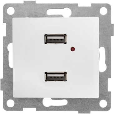Розетка GUSI ELECTRIC Bravo USB 2-местная скрытой установки, механизм, цвет - белый