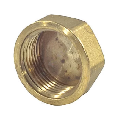 Пробка для коллектора Giacomini R594 Ду24/19 мм ВР корпус - латунь