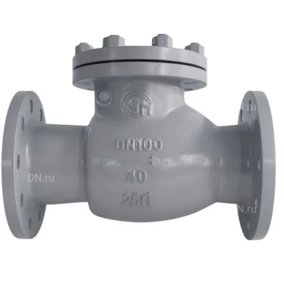 Клапан обратный, поворотный  Победа-30 19нж53нж Ду300 Ру40 фланцевый, корпус - нержавеющая сталь, диск -  нержавеющая сталь, уплотнение - графит