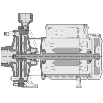 Насосы центробежные, моноблочные Calpeda BNMDM 20 резьбовые, поверхностные, корпус - бронза, мощность - 0.45-1.5кВт, напор - 33-57.5м, производительность - 60-100л/мин, 220/380В