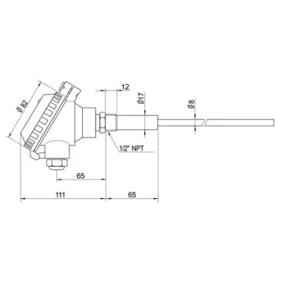 Датчик пыли INNOLEVEL FS710E NPT1/2″ Ру2, длина зонда - 500мм, температура - 150°C, напряжение - 24В,  выходной сигнал - реле DPD, длина кабеля - 2м