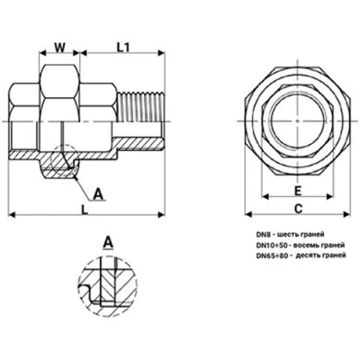 Соединение разъемное (американка) DN.ru А-304-НР-ВР-PTFE 1/2″ Ду15 Ру20 с уплотнением под гайкой по плоскости, корпус - нержавеющая сталь AISI 304, присоединение - наружная/внутренняя резьба, тип резьбы - BSPT/BSPP