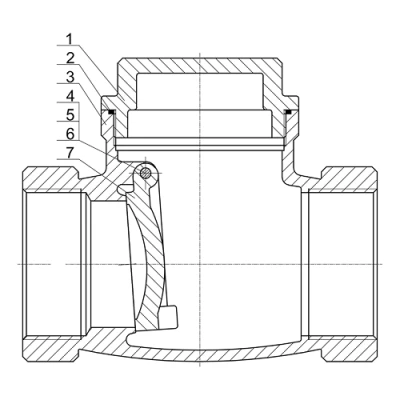 Клапаны обратные DN.ru VCT3232-T 1-2 1/2 Ду25-65 Ру16 ZGY резьбовые, поворотные, корпус - нержавеющая сталь CF8М/AISI 316, диск - нержавеющая сталь CF8М/AISI 316, уплотнение - PTFE