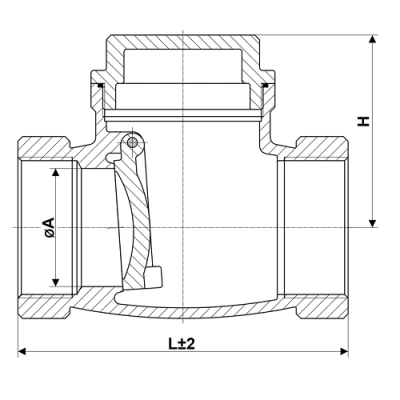 Клапаны обратные DN.ru VCT3232-T 1-2 1/2 Ду25-65 Ру16 ZGY резьбовые, поворотные, корпус - нержавеющая сталь CF8М/AISI 316, диск - нержавеющая сталь CF8М/AISI 316, уплотнение - PTFE