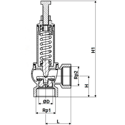 Клапан предохранительный пружинный DN.ru 617-617-PTFE-T Ду25 Ру16 корпус - латунь CW617N, материал запорного органа - латунь CW617N, уплотнение - PTFE, тип присоединения - резьбовой