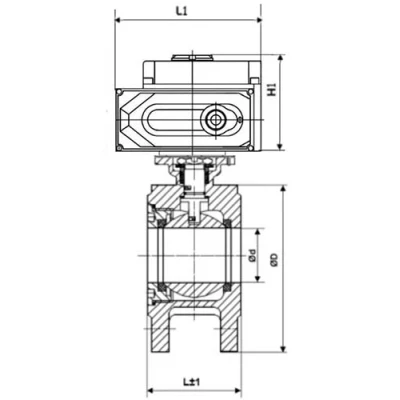 Краны шаровые DN.ru BV3232P-FP-Fb-ISO-H WDVF Ду50-100 Ру16 полнопроходные, межфланцевые, корпус - нержавеющая сталь 316, уплотнение - PTFE, с электроприводом QT-N-EM-O1-220VAC-У1 HARK