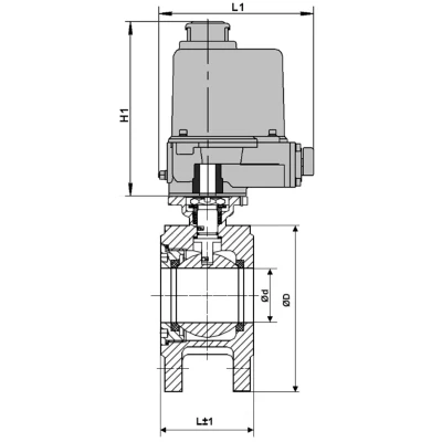 Краны шаровые DN.ru BV3232P-FP-Fb-ISO-H WDVF Ду50-100 Ру16 полнопроходные, межфланцевые, корпус - нержавеющая сталь 316, уплотнение - PTFE, с электроприводом ГЗ-ОФВ 220В