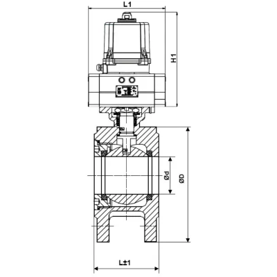 Краны шаровые DN.ru BV3232P-FP-Fb-ISO-H WDVF Ду50-100 Ру16 полнопроходные, межфланцевые, корпус - нержавеющая сталь 316, уплотнение - PTFE, с электроприводом DN.ru QTSA-N-EM-O0-220VAC