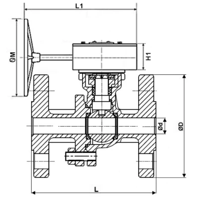 Краны шаровые DN.ru BV3232P(2pc)-FP-F-ISO-H WDVF Ду50-200 Ру40/16 полнопроходные, фланцевые, корпус - нержавеющая сталь 316, уплотнение - PTFE, с редуктором DN.ru HAM RQN