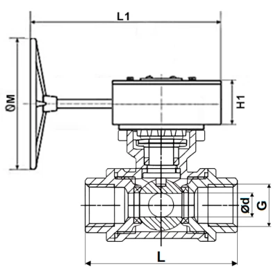 Краны шаровые DN.ru BV3232P(4pc)-SP-3WL-T-ISO-H WDVF Ду32-65 Ру63/40 стандартнопроходные, 3-ходовые L-тип, внутренняя резьба, корпус - нержавеющая сталь AISI 316, уплотнение - PTFE, с редуктором DN.ru HGB RQN