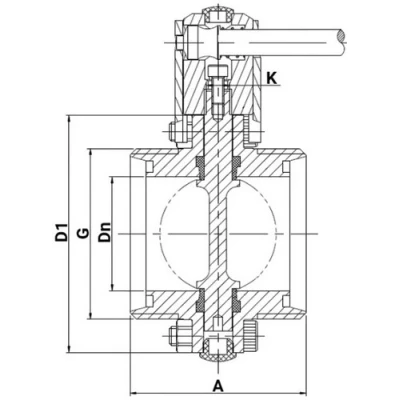 Затворы дисковые поворотные DN.ru WBV3131E-2W-T-H Ду15-100 Ру10 резьбовые, корпус - пищевая нержавеющая сталь 304, уплотнение - EPDM, с электроприводом DN.ru QT-N-EM-O1-380VAC-У1 380В HARK