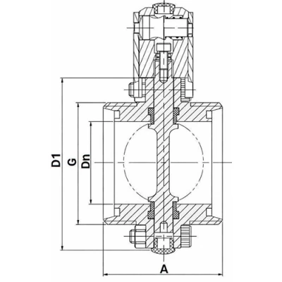 Затворы дисковые поворотные DN.ru WBV3131S-2W-T-H Ду15-100 Ру10, резьбовые, пищевая нержавеющая сталь 304, уплотнение - Silicon, с пневмоприводом PA-DA, пневмораспределителем 4V320-10 NAMUR AC220V и БКВ APL-210N