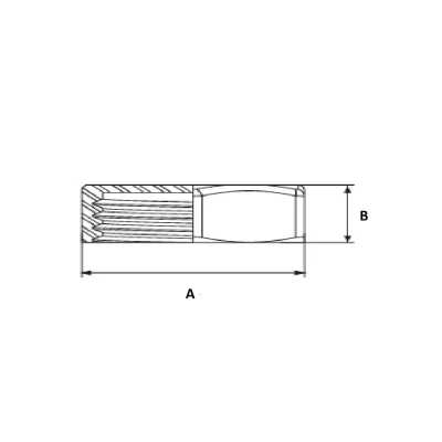 Заглушка ELSEN Metalit TIN 1″ Ду25 Ру16 корпус – латунь CW617N, покрытие – оловянное, присоединение - внутренняя резьба  
