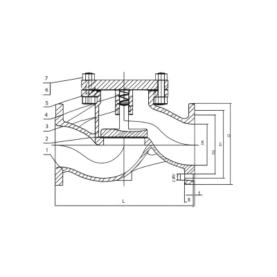 Клапан обратный, подъемный Победа-30 16с10нж Ду50 Ру16 фланцевый, корпус - сталь, диск - сталь, уплотнение - графит