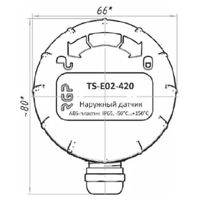 Датчики температуры наружного воздуха RGP TS-E02-420 с выходным сигналом 4-20мА