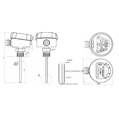 Датчики температуры погружные RGP TS-D с выходным сигналом 4-20мА, чувствительный элемент - PT1000