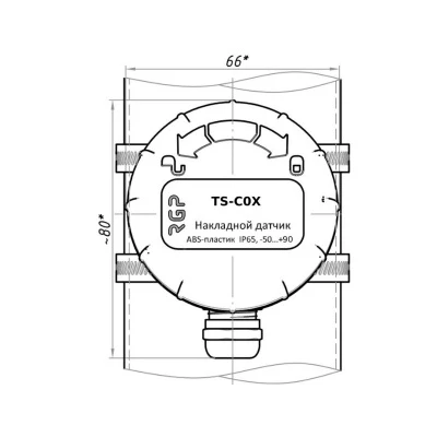 Датчик температуры накладной (контактный) RGP STANDART TS-C02 NTC10k (3435), G1 1/2, диапазон измерения от -70 °C до +150 °C