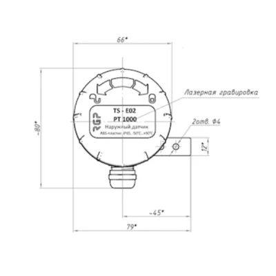 Датчик температуры наружного воздуха (PBT-пластик) RGP STANDART TS-E03 PT1000, диапазон измерения от -70 °C до +500 °C