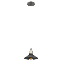 Светильник подвесной ЭРА PL 4 60 Вт, количество ламп - 1, цоколь - E27, цвет - шагрень черный, темный никель