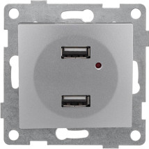 Розетка GUSI ELECTRIC Bravo USB 2-местная скрытой установки, механизм, цвет - серебро